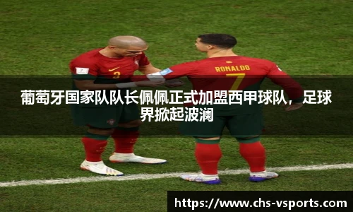 葡萄牙国家队队长佩佩正式加盟西甲球队，足球界掀起波澜